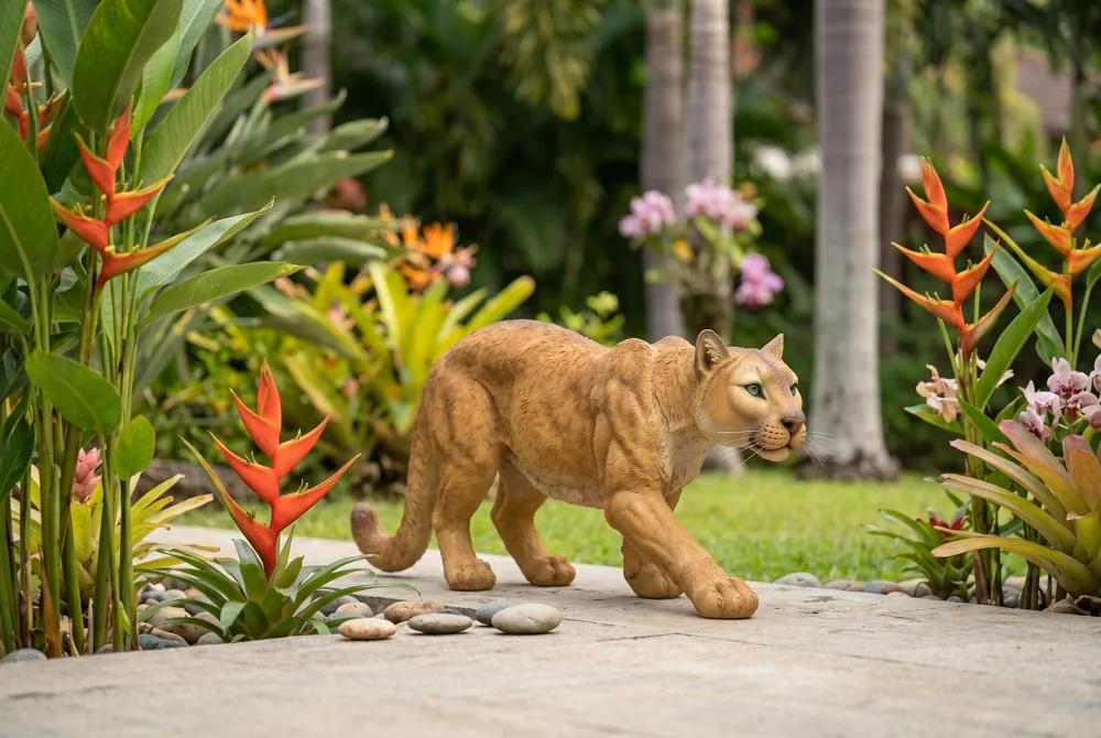 Prowling American Mountain Cougar Statue