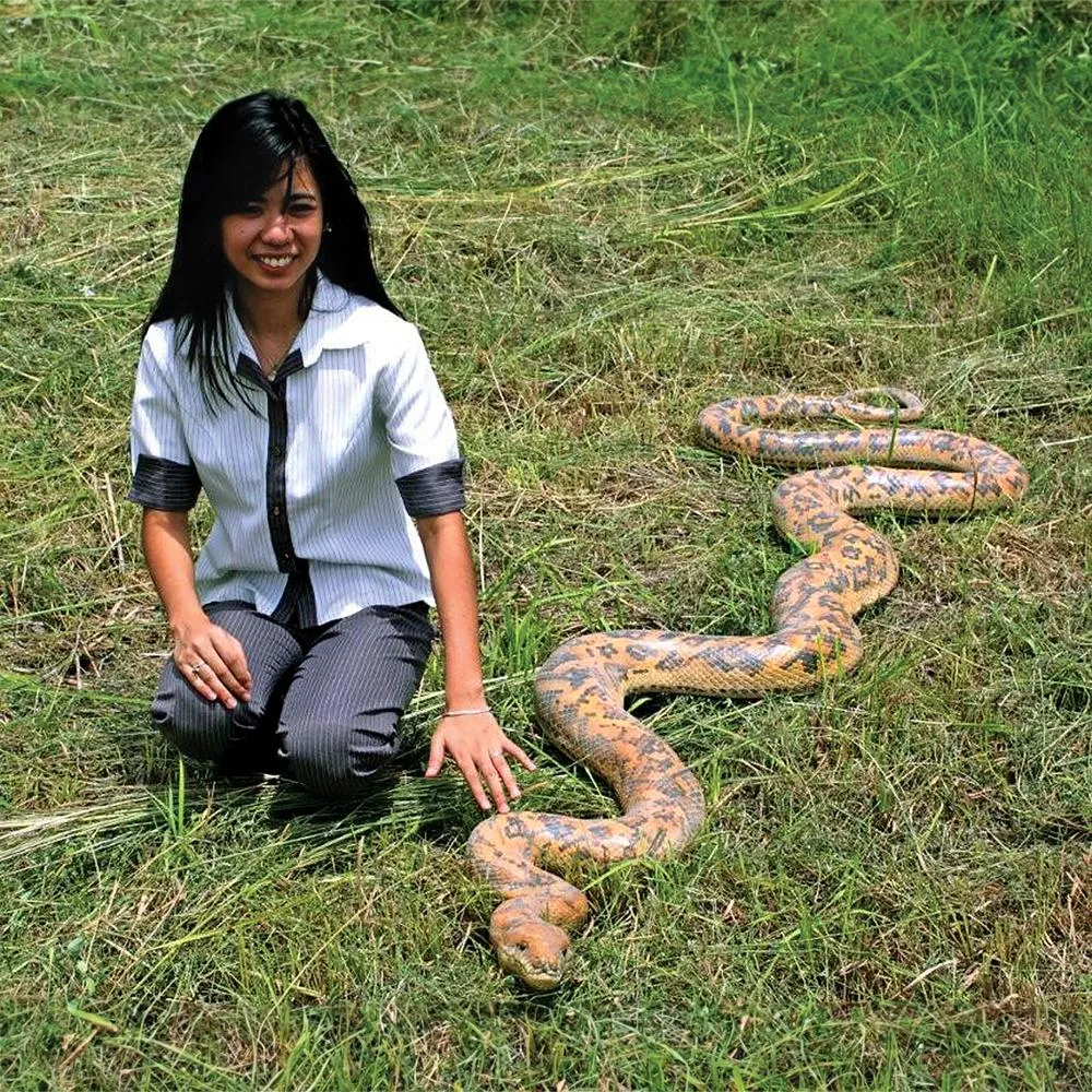 Giant Burmese Python Snake Statue