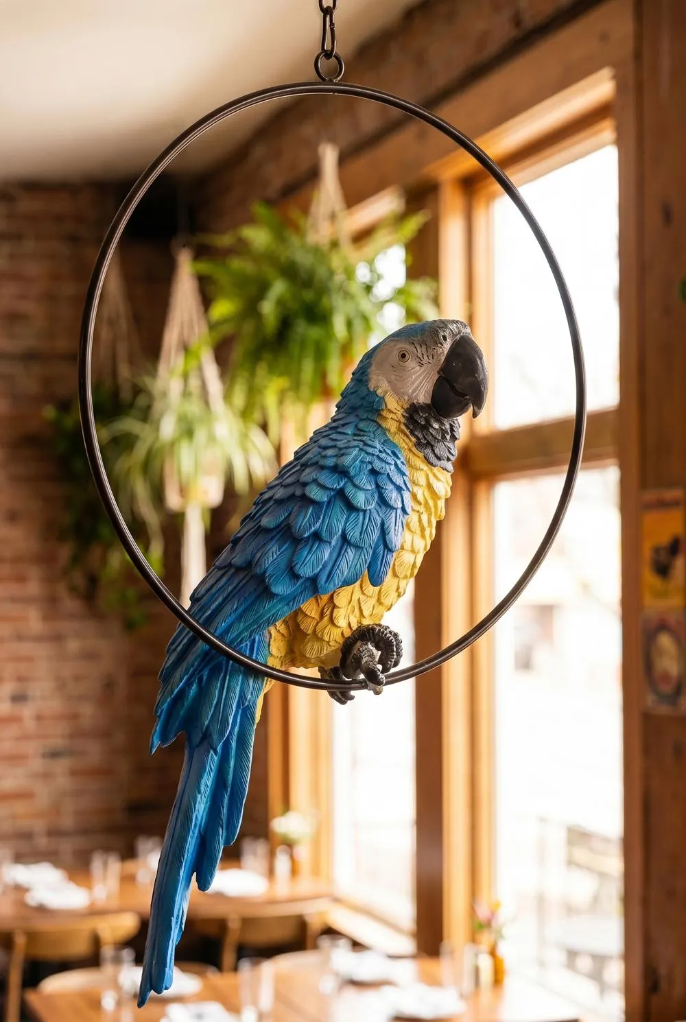 Polly in Paradise Parrot on Ring Perch: Large