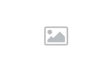 Asian Dragon of the Great Wall Statue: Large
