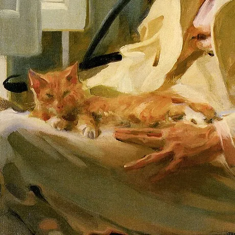 Man with Cat Framed Canvas Replica Painting: Small