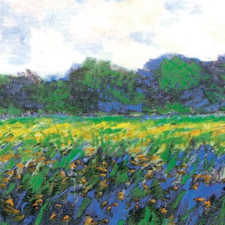 Field of Yellow Irises at Giverny Framed Canvas Replica Painting: Medium
