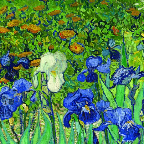 Irises Framed Canvas Replica Painting: Small