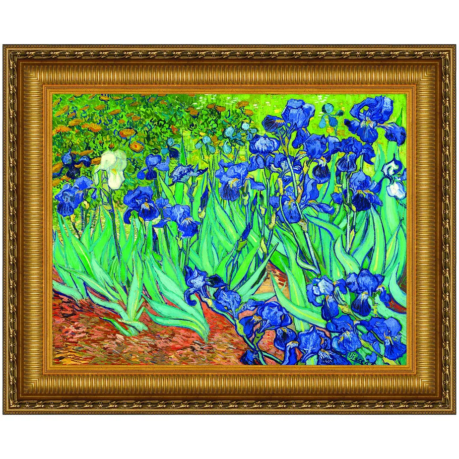 Irises Framed Canvas Replica Painting: Medium