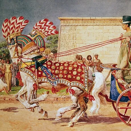 Nefertiti in Her Royal Chariot Framed Canvas Replica Painting: Medium