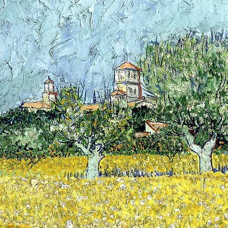Field with Flowers near Arles Framed Canvas Replica Painting: Small