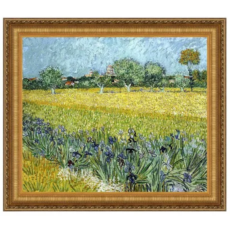 Field with Flowers near Arles Framed Canvas Replica Painting: Large