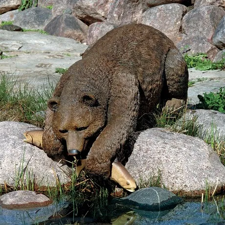Catch of the Day Grand Grizzly Brown Bear Sitter Statue