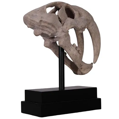 Saber-Toothed Tiger Skull Fossil Statue