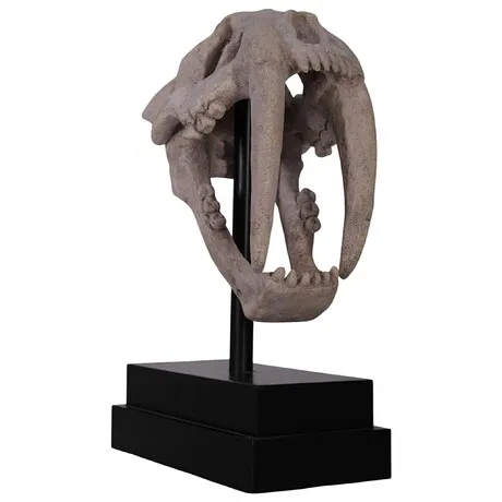 Saber-Toothed Tiger Skull Fossil Statue