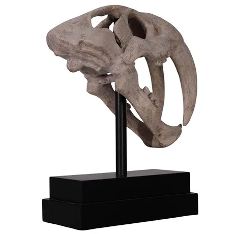 Saber-Toothed Tiger Skull Fossil Statue