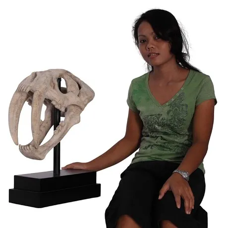 Saber-Toothed Tiger Skull Fossil Statue
