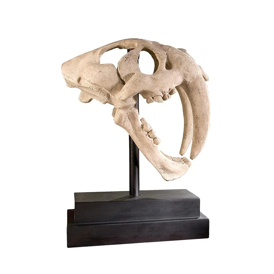 Saber-Toothed Tiger Skull Fossil Statue