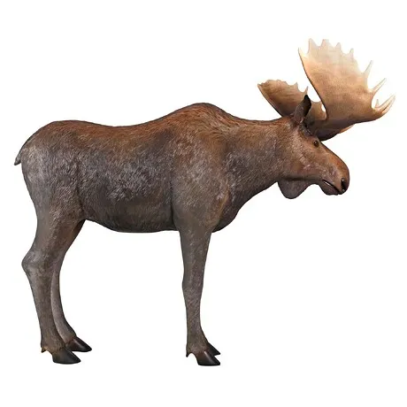 North American Majestic Moose Full Scale Animal Statue