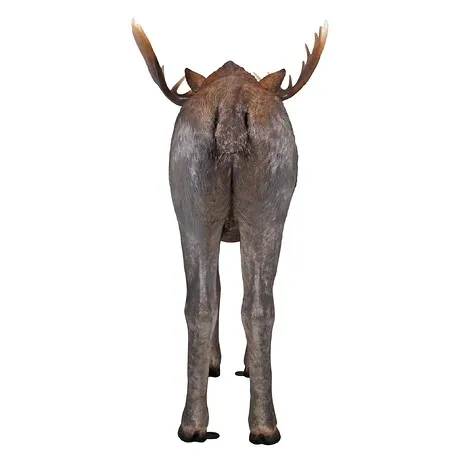 North American Majestic Moose Full Scale Animal Statue