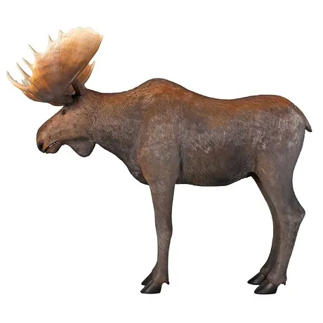 North American Majestic Moose Full Scale Animal Statue