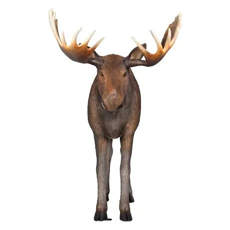 North American Majestic Moose Full Scale Animal Statue