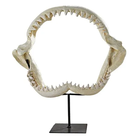 Shark's Jagged Jaws Statue